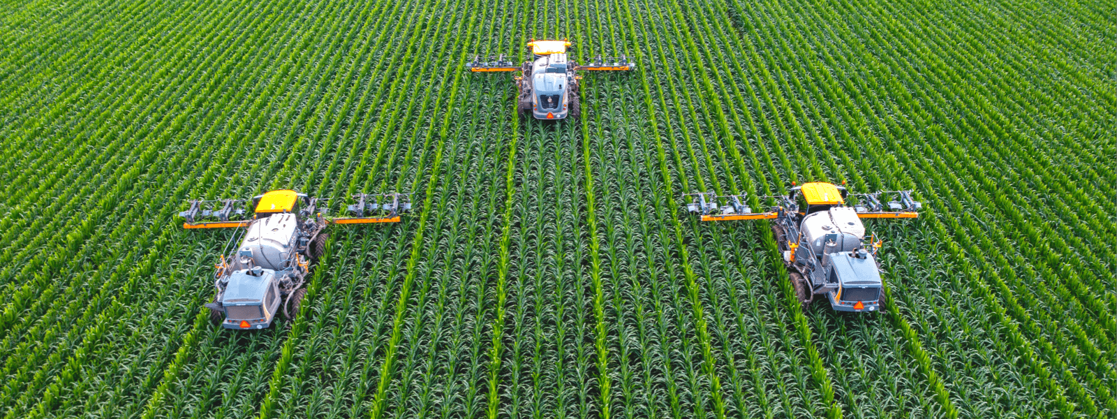 牢記使命、服務全局